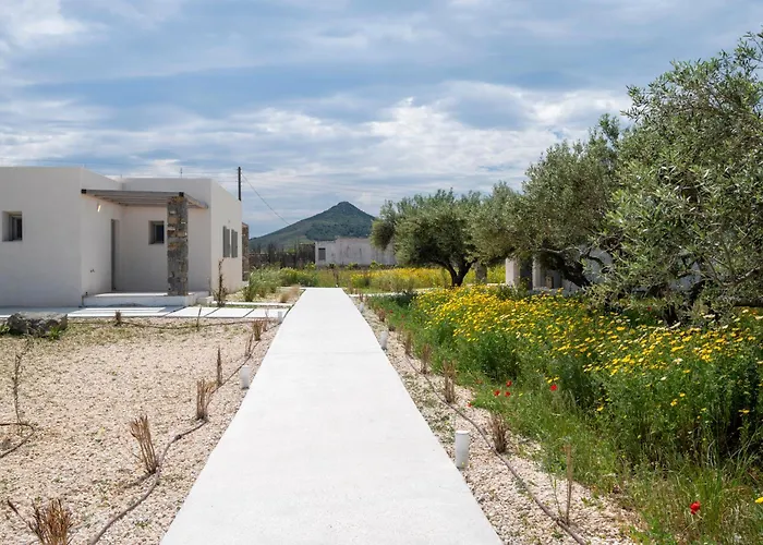 Amouage بيت للعطل *